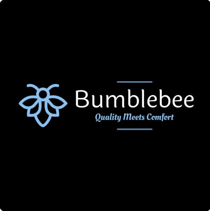 branding tips, example of Bumblebee logo
