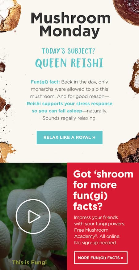 This email from Four Sigmatic, who produce nutrient dense coffee, includes the CTA offering 'More fun(gi) facts.' It's a cream background featuring fungi and a red element. 